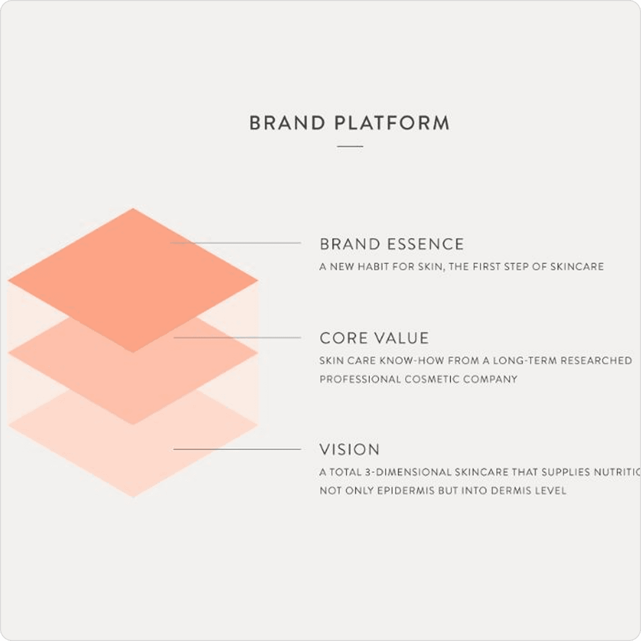 Brand colour palette, typography scale and collateral applications